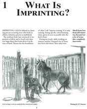 Load image into Gallery viewer, IMPRINT & EARLY LEARNING - Of The Newborn Foal (REPRINT NOW AVAILABLE)