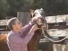 Load and play video in Gallery viewer, SAFER HORSEMANSHIP - How to avoid injury to you and your horse